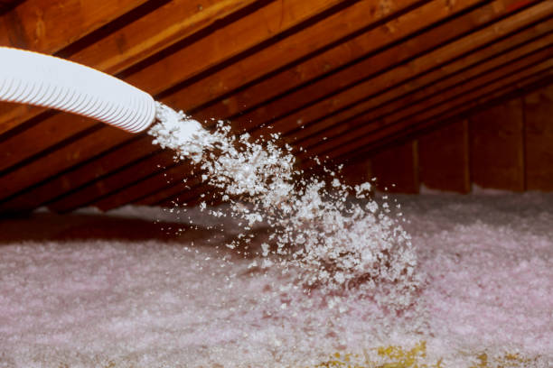 Best Geographic-Specific Insulation Services in Sayreville, NJ
